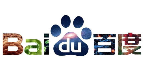 蜘蛛池:细致入微的全面解析